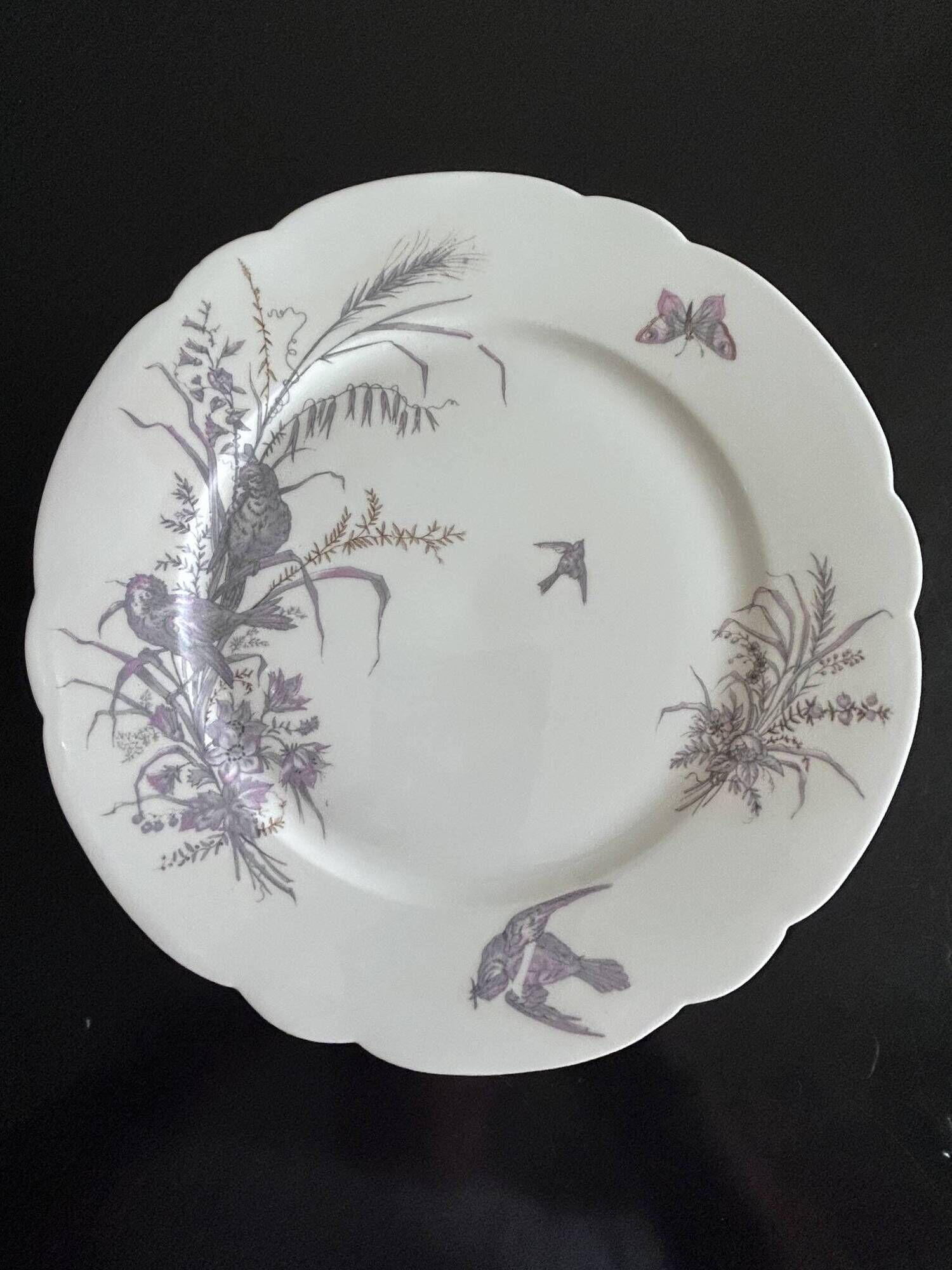 8 porcelain plates and 1 dish CH Pillivuyt & Cie