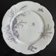 8 porcelain plates and 1 dish CH Pillivuyt & Cie