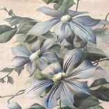 Triptych of old watercolors, flowers, 19th century