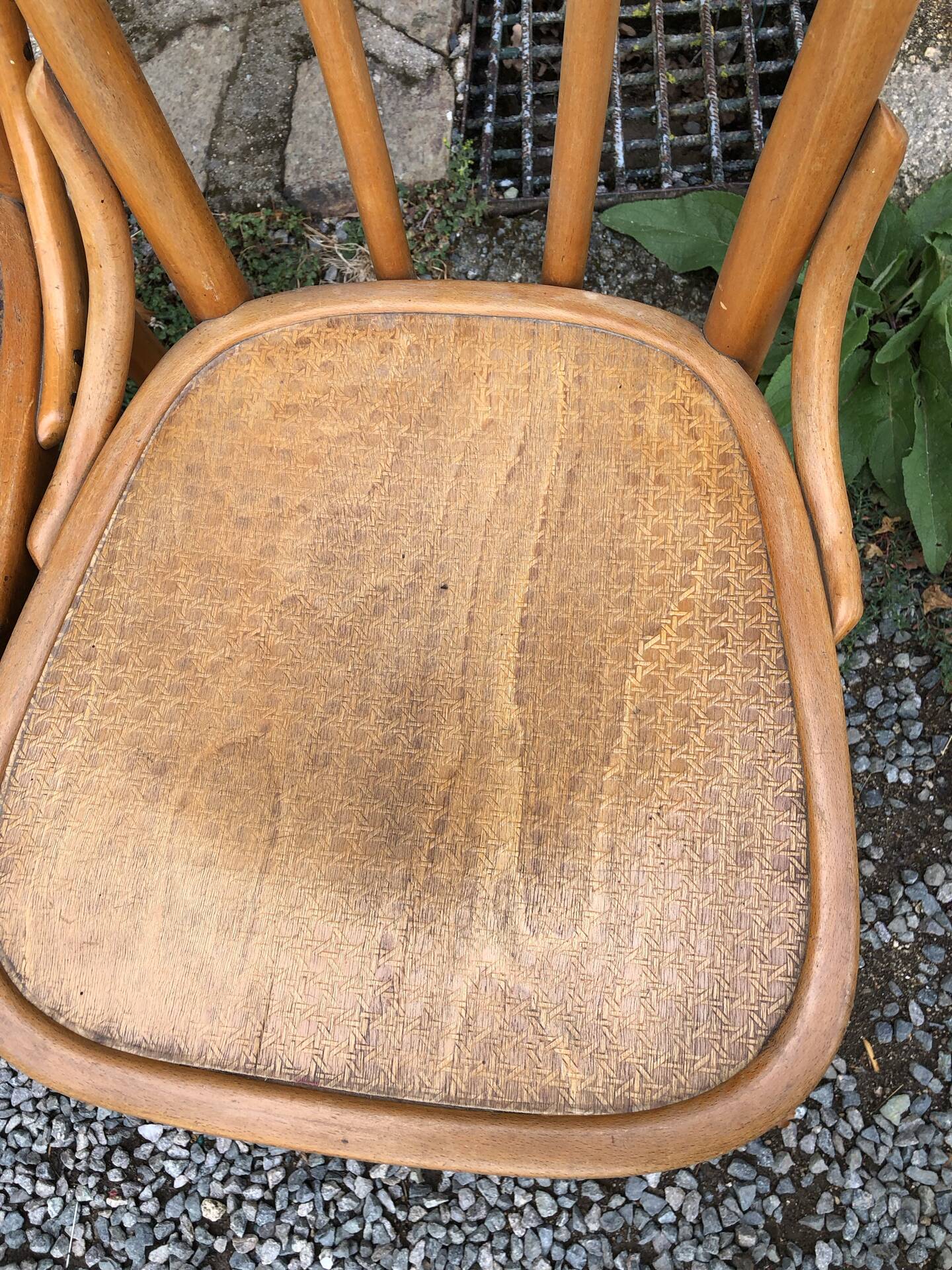Bauman chair