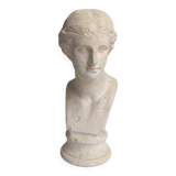 Bust of Venus