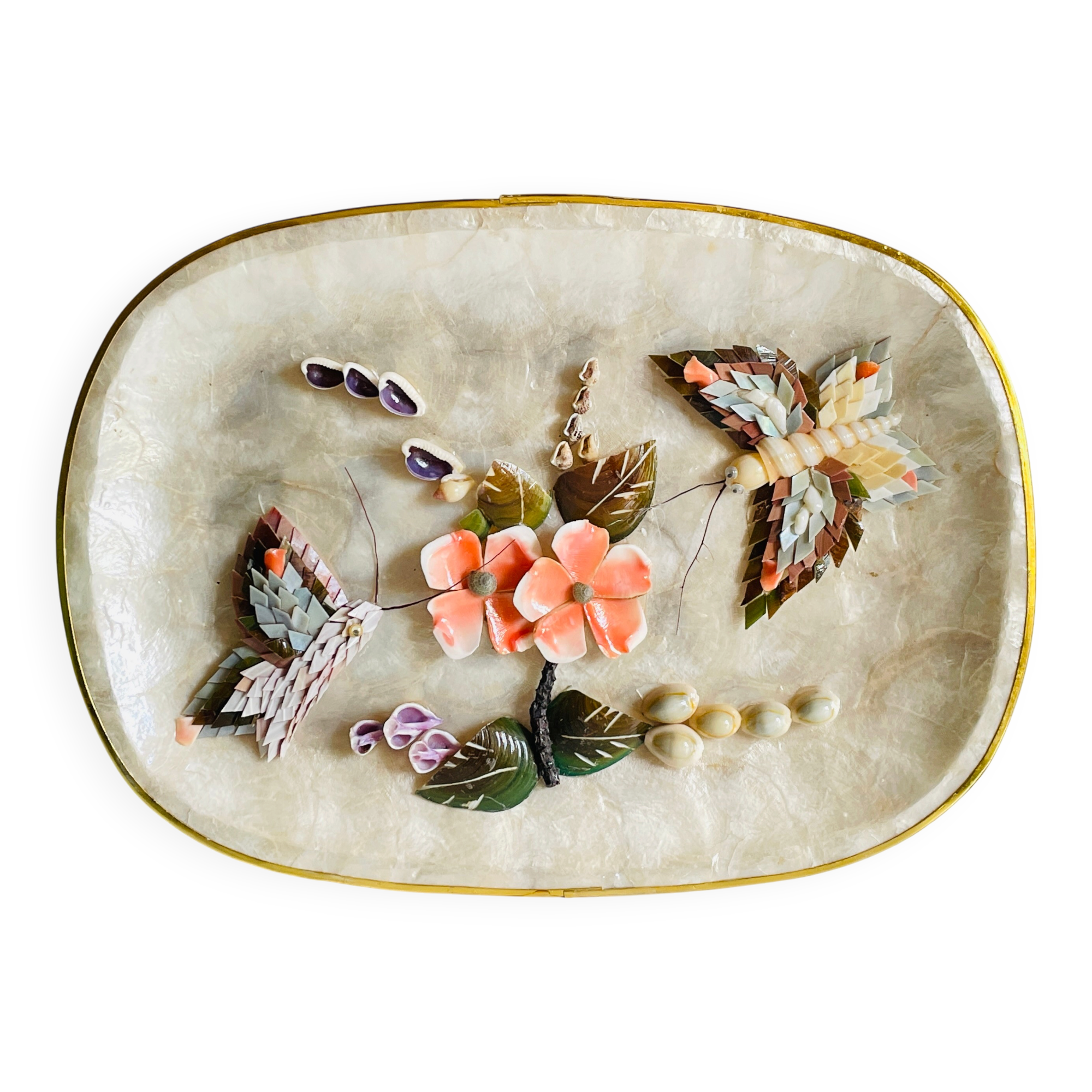 Decorative Shells Plateau Vintage