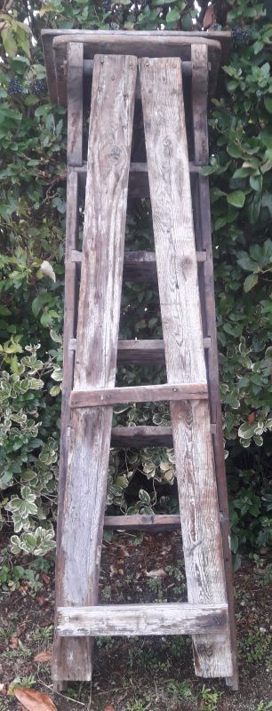 Artisan wooden ladder 6 steps