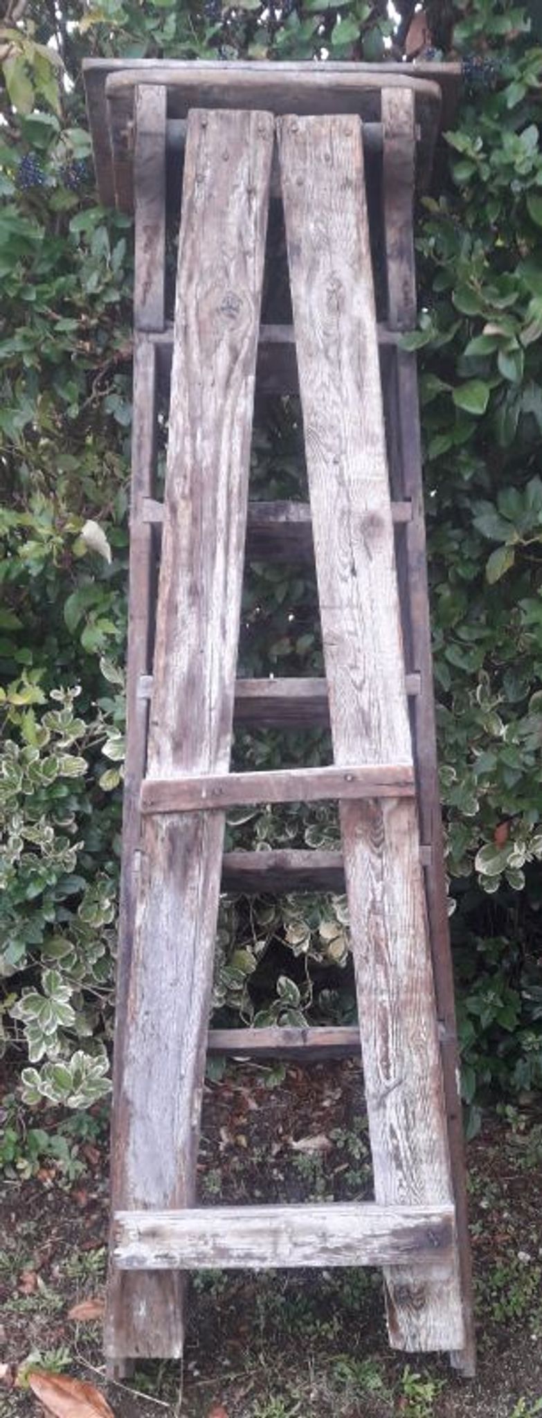 Artisan wooden ladder 6 steps