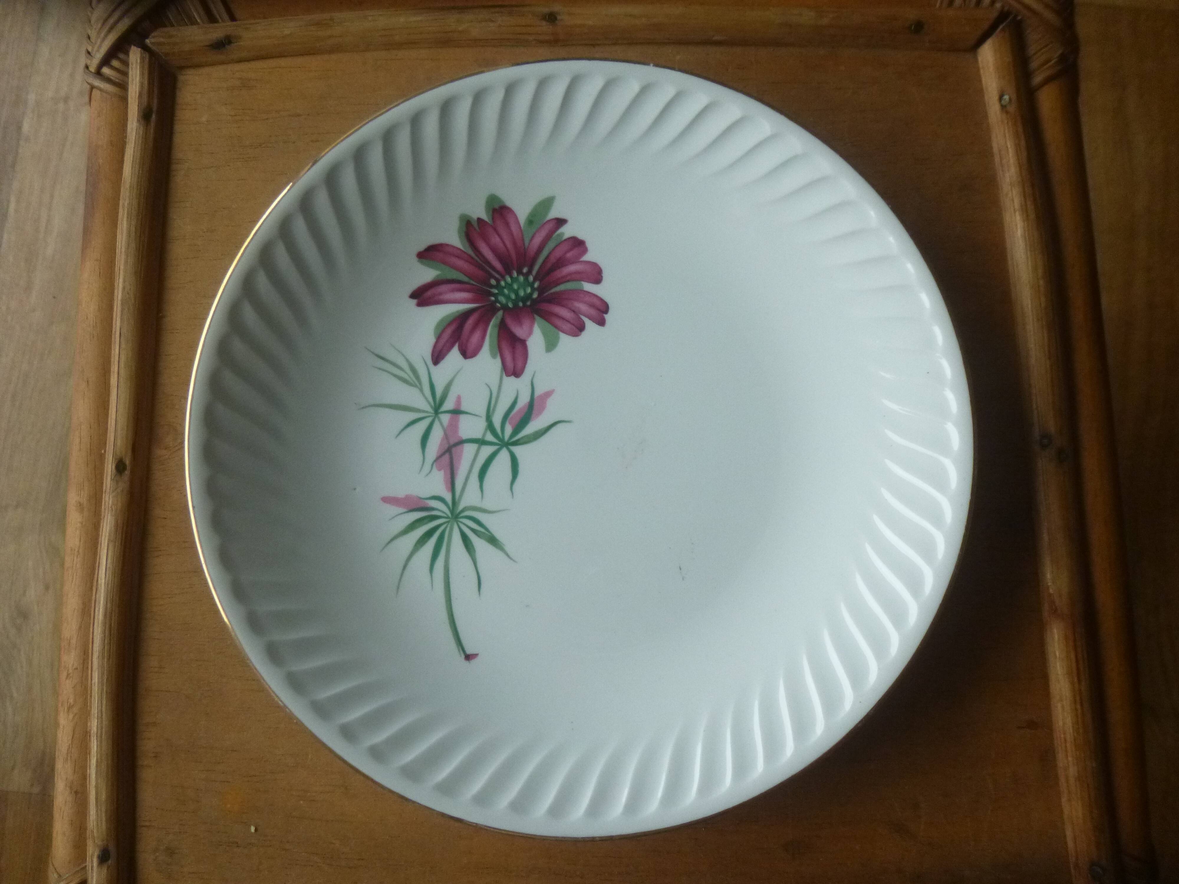Flat plate gien model Malmaison