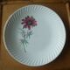 Flat plate gien model Malmaison