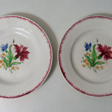 Digoin Sarreguemines 9420 carnation 2 flat plates