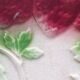 Six slip plates with strawberry decoration