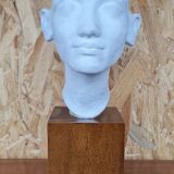 Bust of Nefertiti Louvre Museum Paris