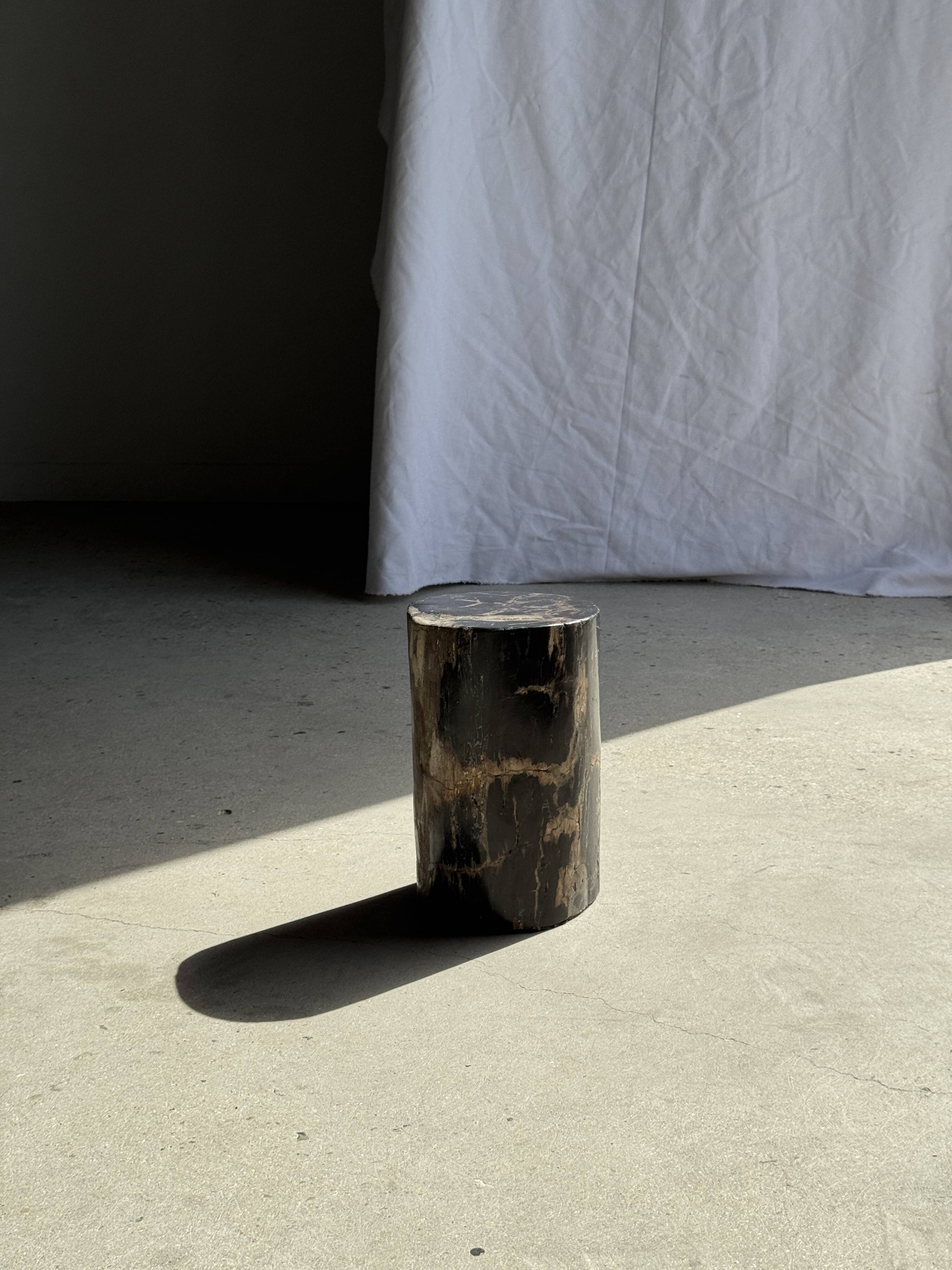 Table d'appoint en bois pétrifié noir