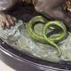 Antique Cold-Painted Bronze Lion Fighting a Snake, After Antoine-Louis Barye