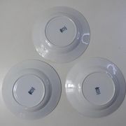 Iron earth 3 hollow plates medaillon