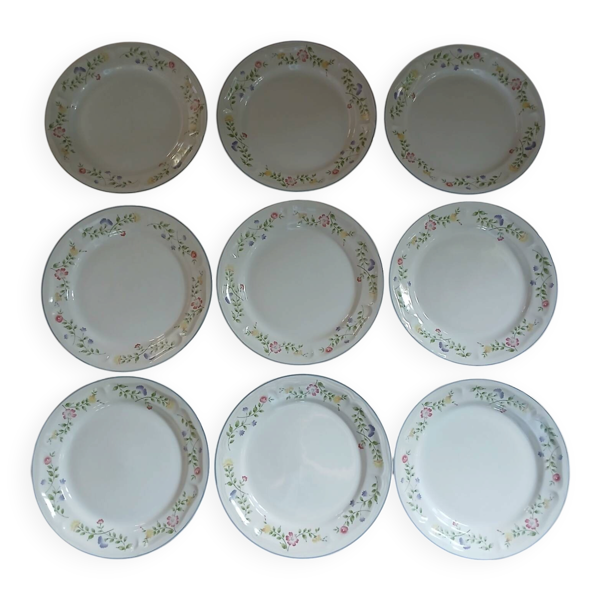 9 dinner plates English Garden