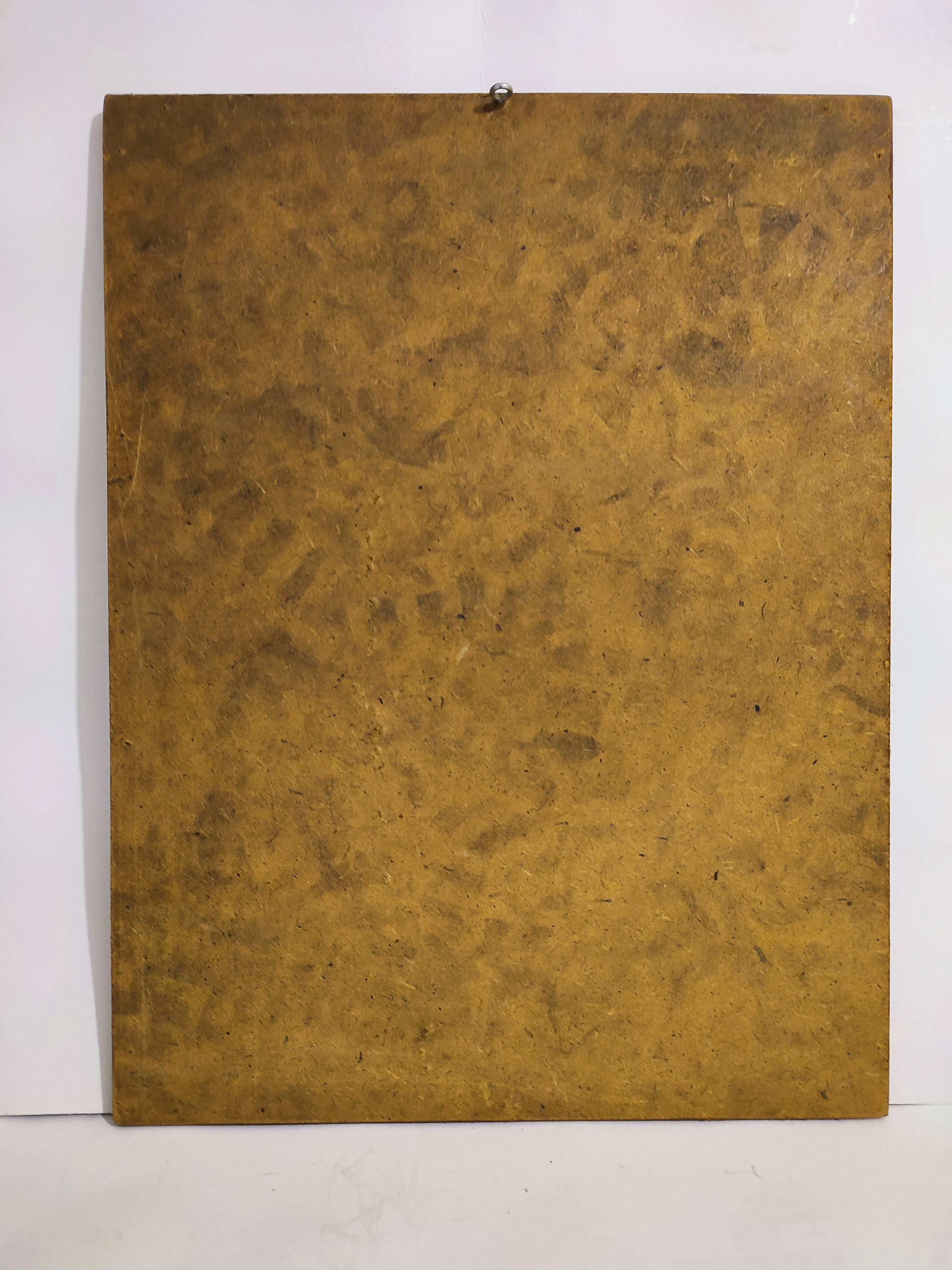 Gould lithograph enhanced Main Palaeornis Derbianus