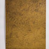 Gould lithograph enhanced Main Palaeornis Derbianus