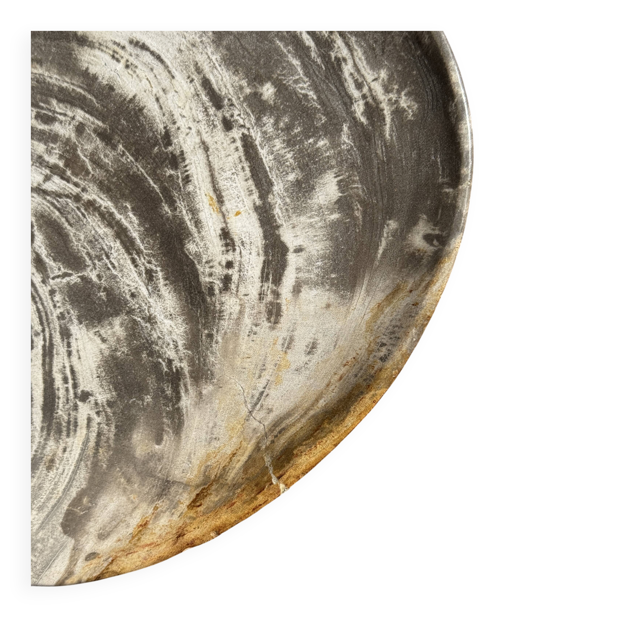 Petrified wood bowl or dish D27-23 -3322
