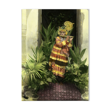 Photographie ancienne colorée Rajasthan vers 1920