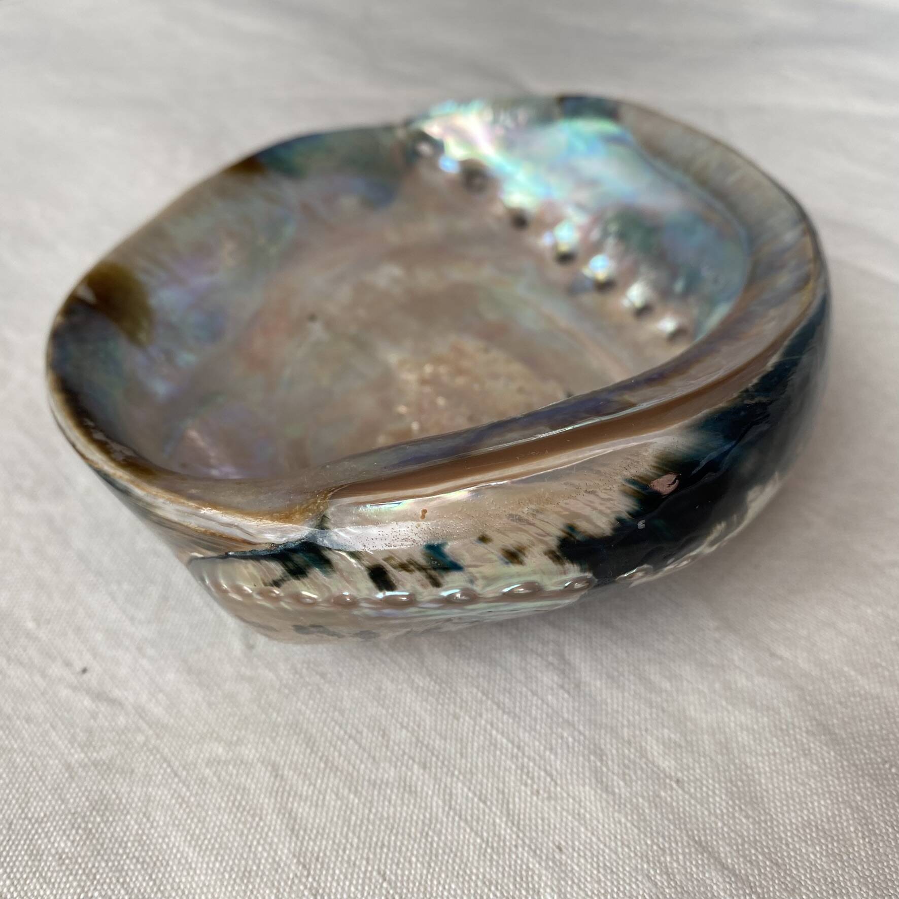 Polished abalone shell, catch-all or decorative object.