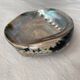 Polished abalone shell, catch-all or decorative object.