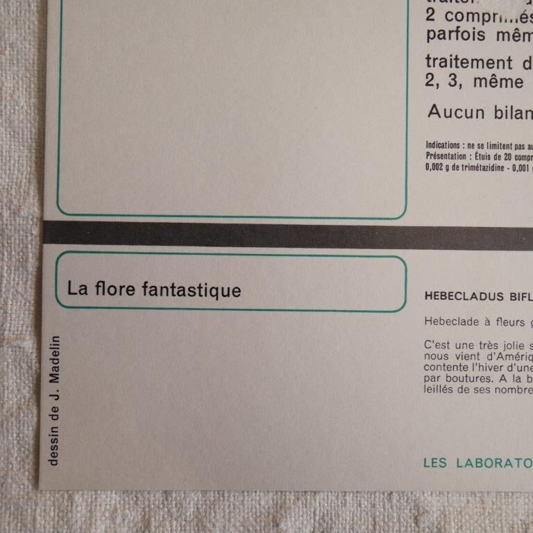 Botanical board Hebecladus - Servier