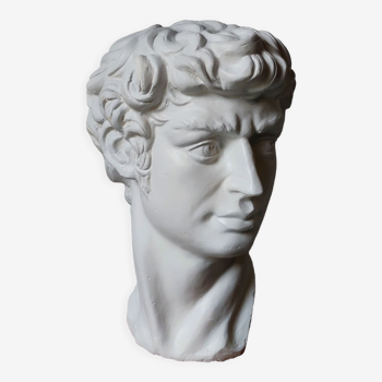 Plaster bust of david