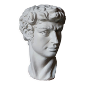 Plaster bust of david