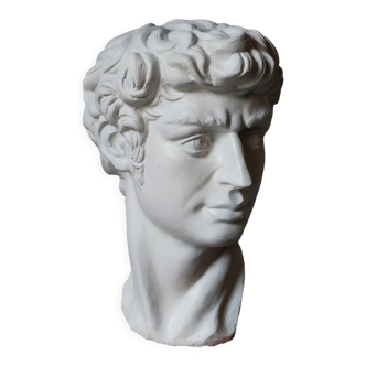 Plaster bust of david