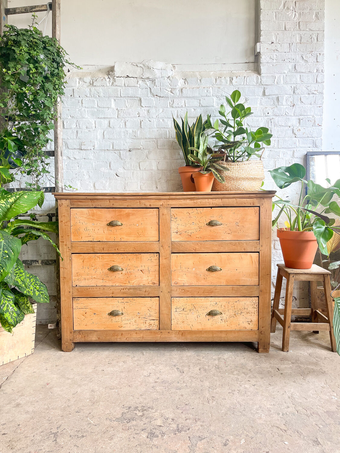 Old haberdashery furniture