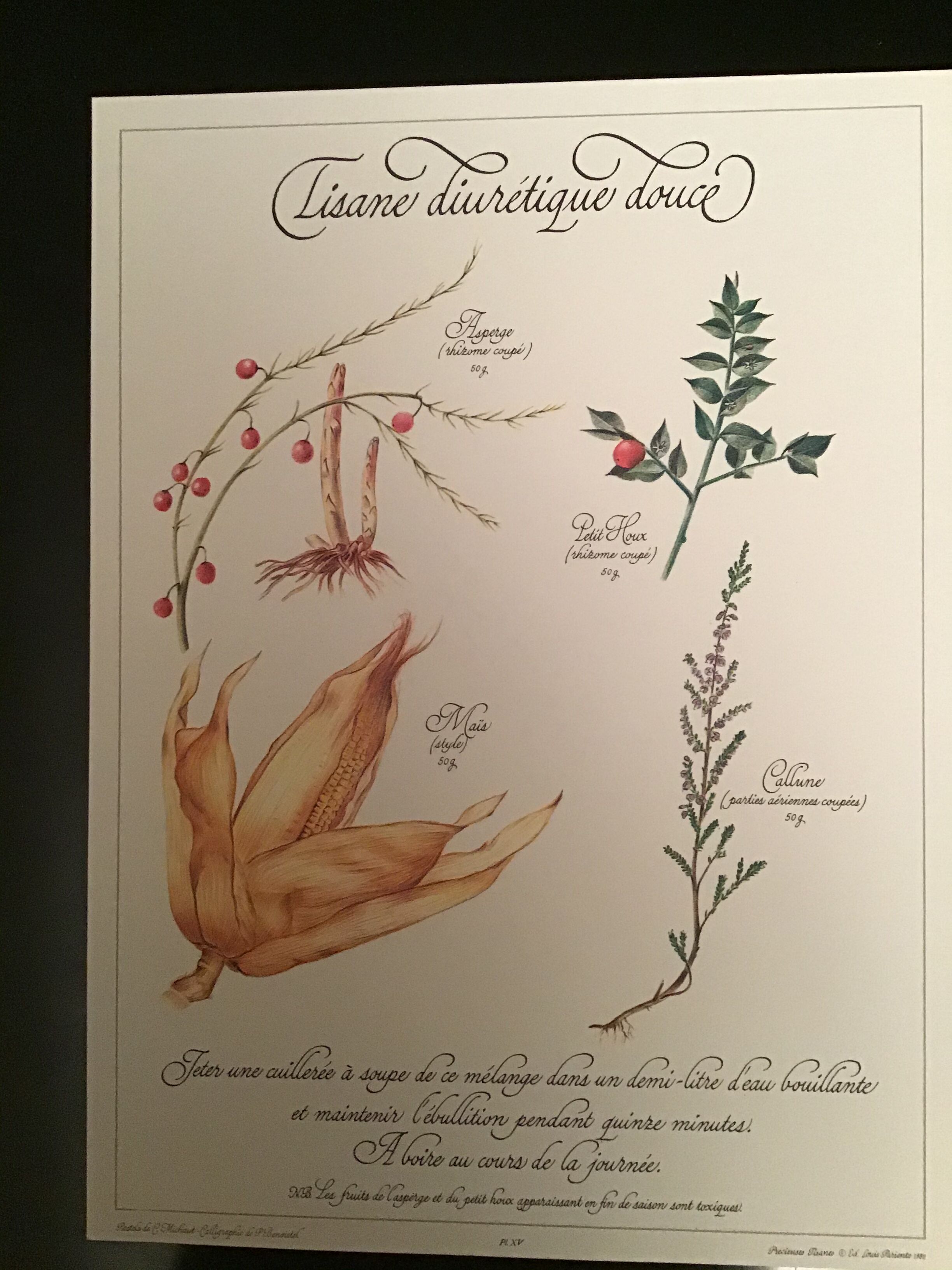 Lot posters ready herbal