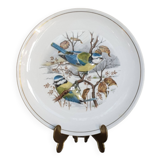 Assiette décorative Mesange bleue porcelaine Angleterre