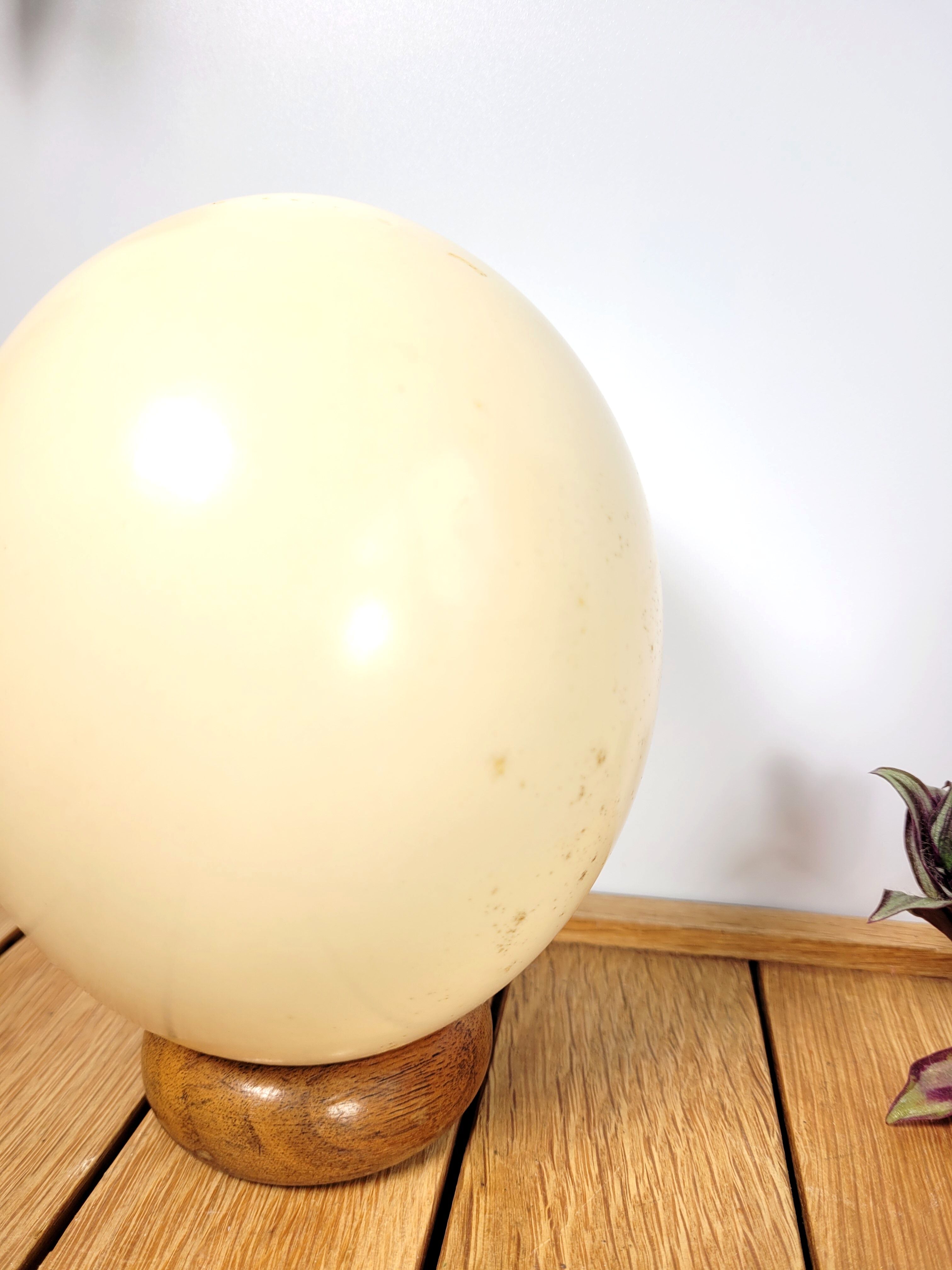 Ostrich egg on wooden base