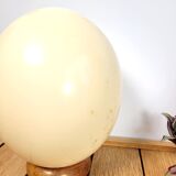 Ostrich egg on wooden base
