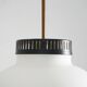 Chandelier in white opaline glass and brass, 1950s