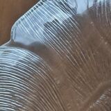 Set of 5 'Flowers' transparent plates by Arcoroc