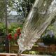 Set of 4 champagne flutes in arques crystal. model pompadour.