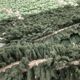 Green carpet 250cmx150cm