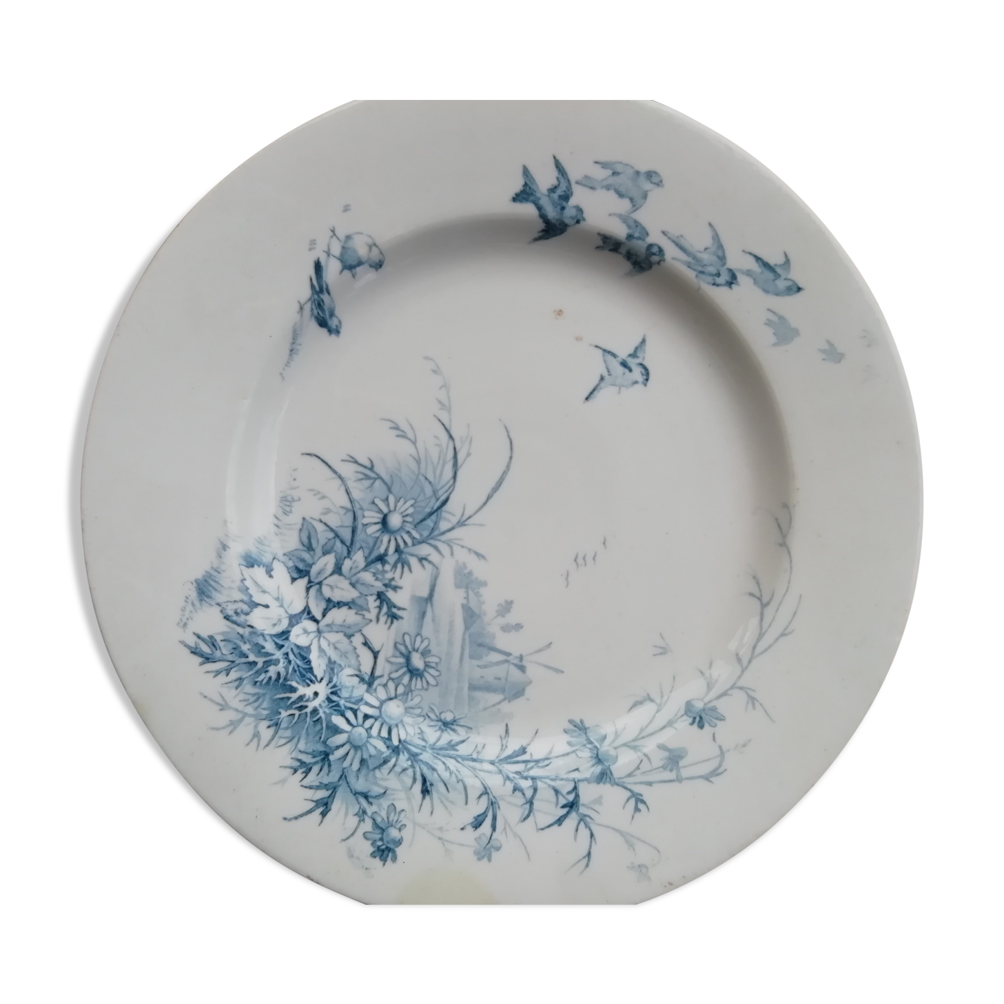 Plate Terre de Fer
