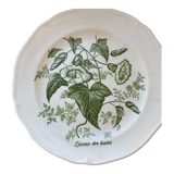 Gien plate