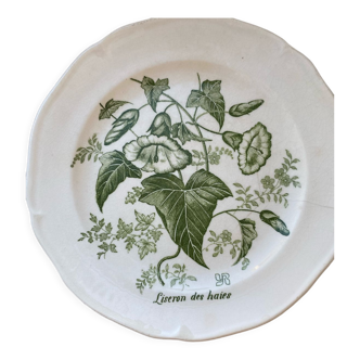 Gien plate