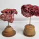 Pair of antique Tubipora musica ornamental corals on base, 17 cm
