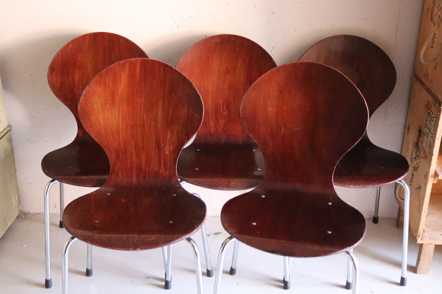 5 chaises style fourmi en contreplaqué moulé et métal chromé, esprit s