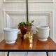 Paire de cache pots porcelaine de Limoges