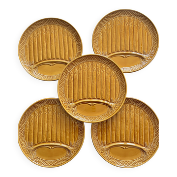 Flat plate for serving asparagus
