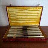 12 Art Deco knives 1930 bone or bakelite sleeves in case