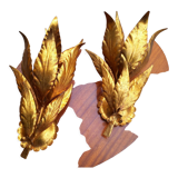 Pair of gold leaf sconces