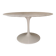 Table Tulip