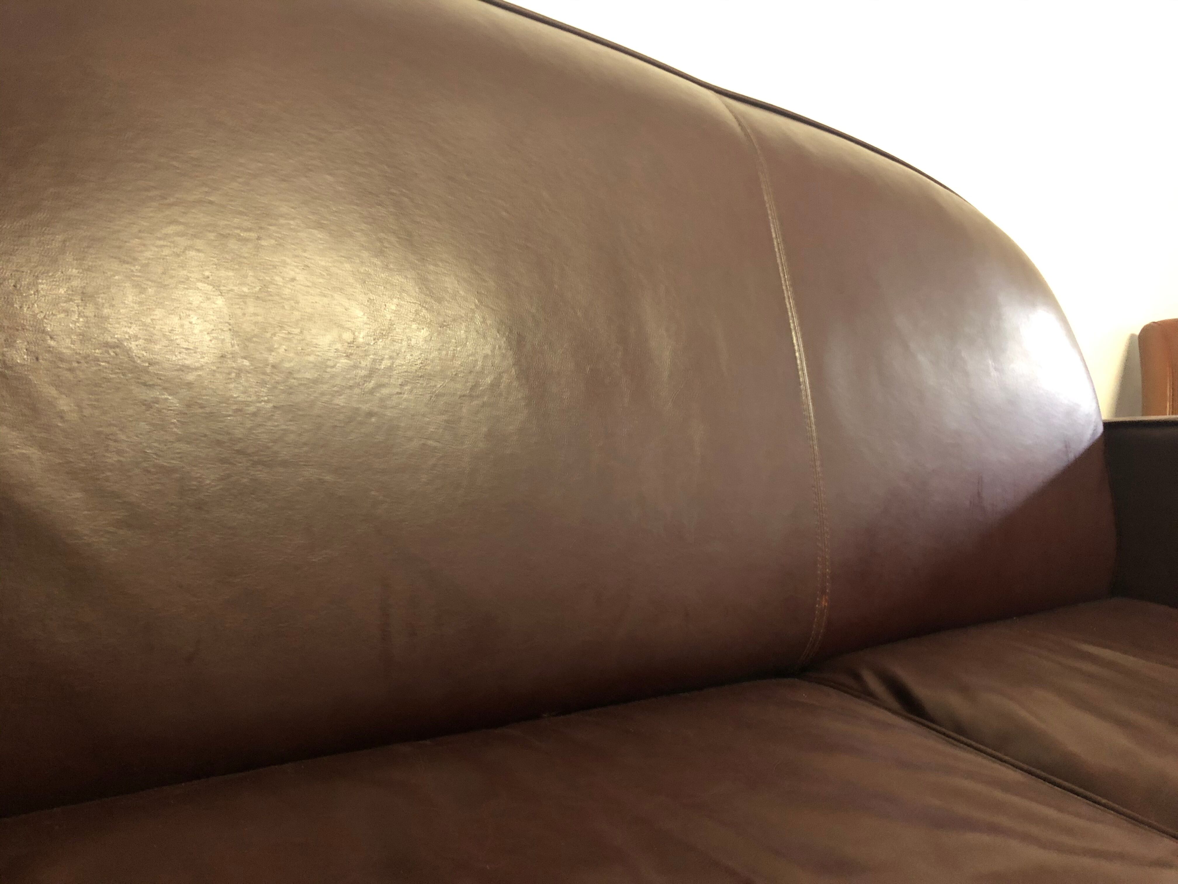 Club Interior's Sofa