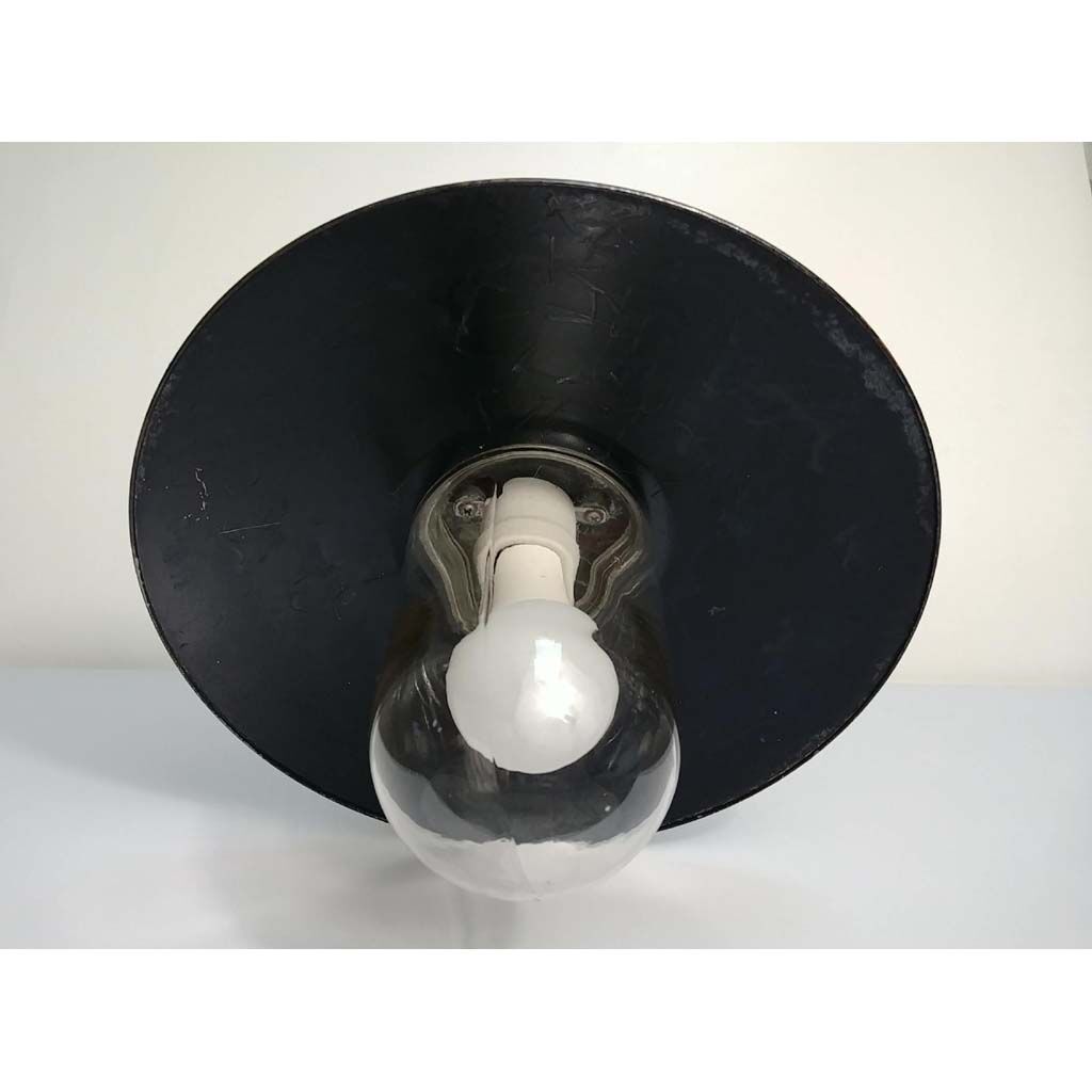 Ancient outdoor swan collar and glass globe sconce