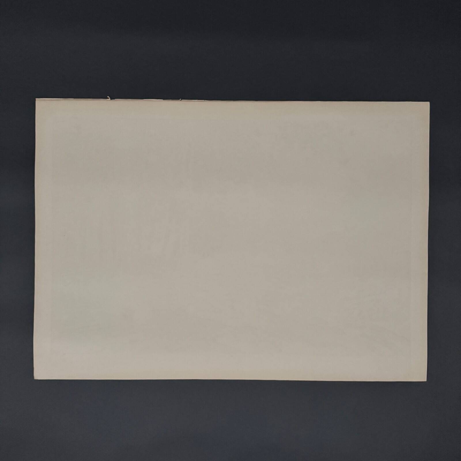 Lithograph by Henri Rivière Aspects of Nature - The Forest