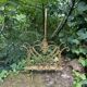 Brass magazine rack in baroque style